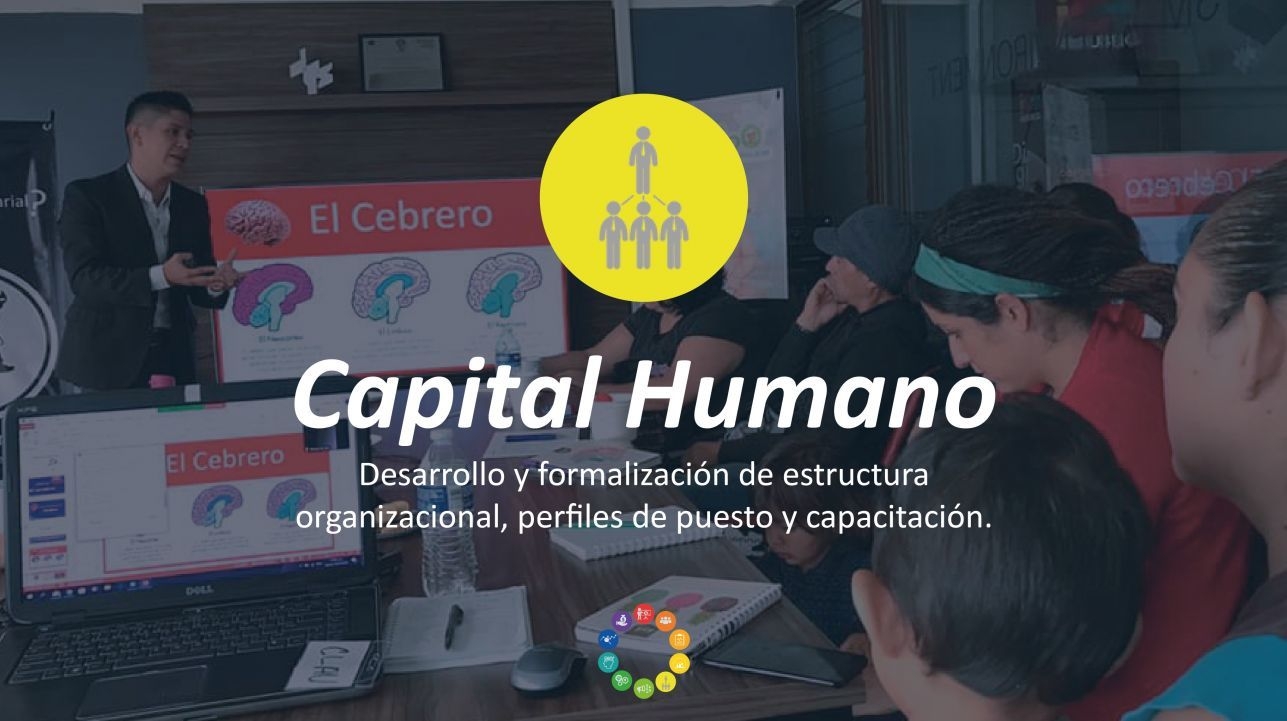 Módulo 5: Capital humano