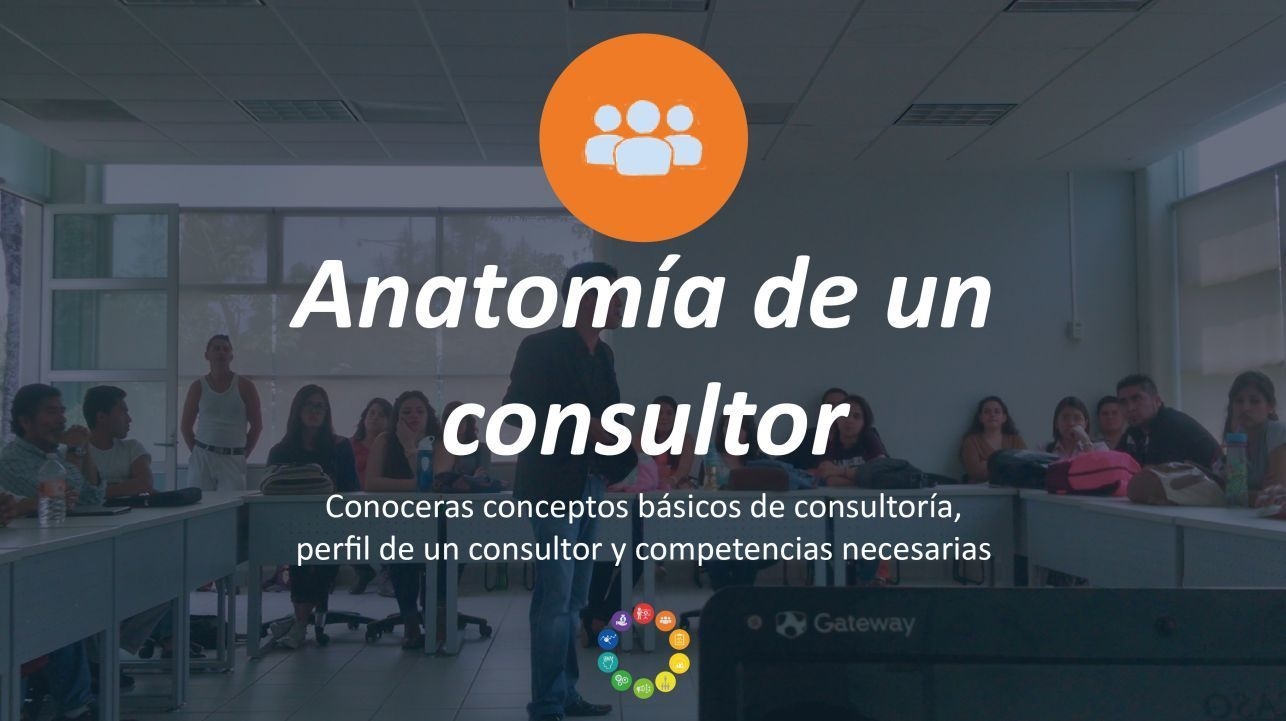 Módulo 2: Anatomía de un consultor