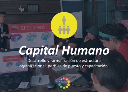 Módulo 5: Capital humano