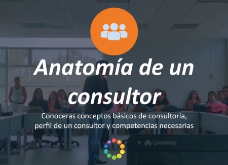 Módulo 2: Anatomía de un consultor